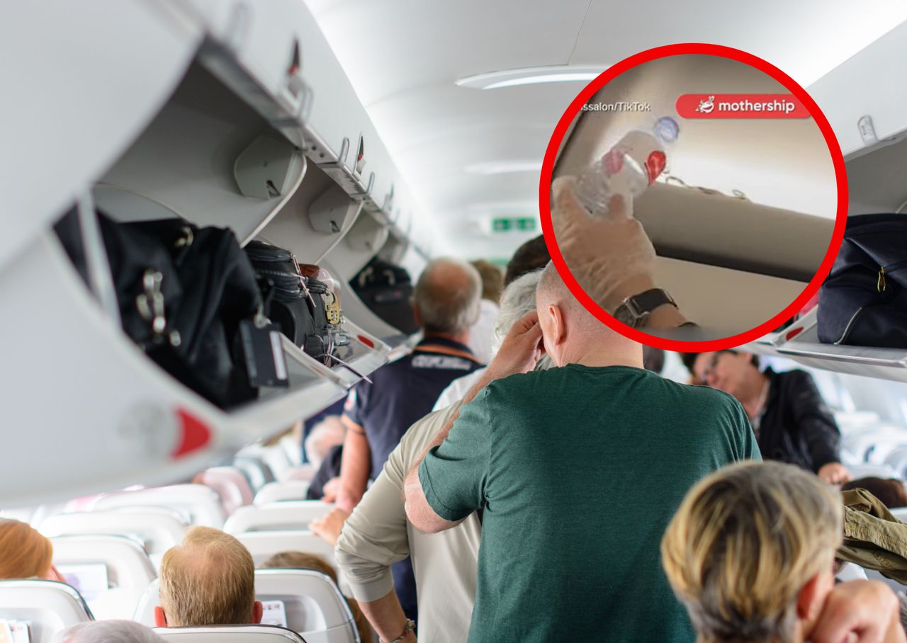 AirAsia flight to Phuket turns into nightmare as snake emerges in cabin