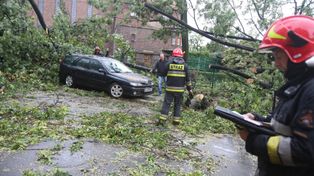 Burze nad Wielkopolską. Meteorolodzy ostrzegają: dotknięta może być jedna część regionu
