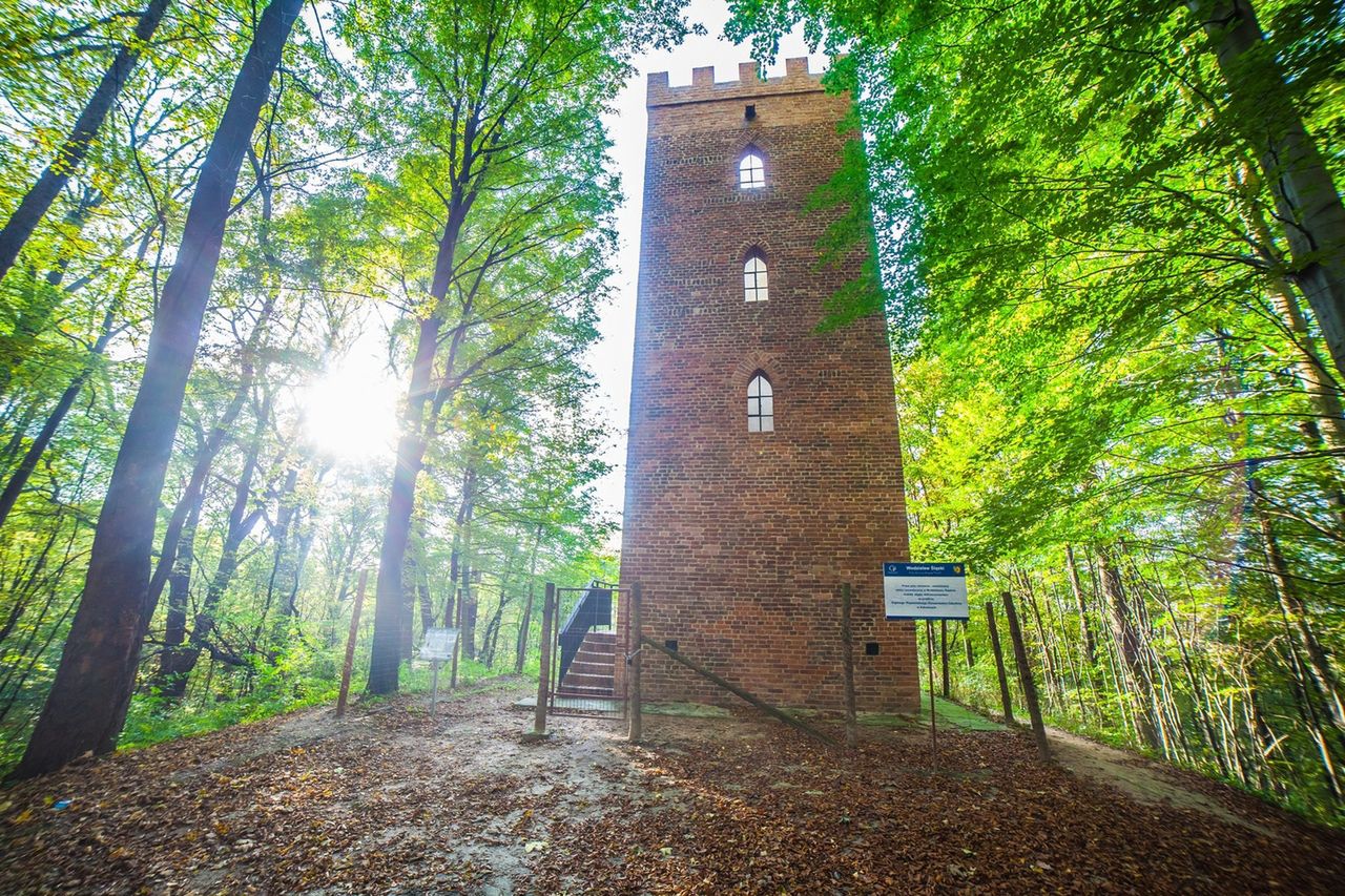 Wodzisław Śl. Baszta rycerska po remoncie lśni nowością. 