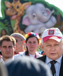 Piknik rodzinny w bastionie PiS. Polacy krytyczni wobec takich imprez