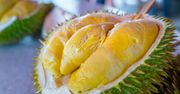 Jak wygląda durian, a jak jackfruit? Sprawdź wiedzę w krzyżowce o owocach