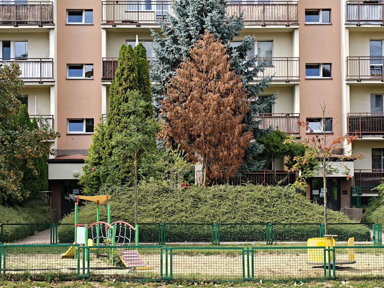 Zdjęcie zoom x3.5.