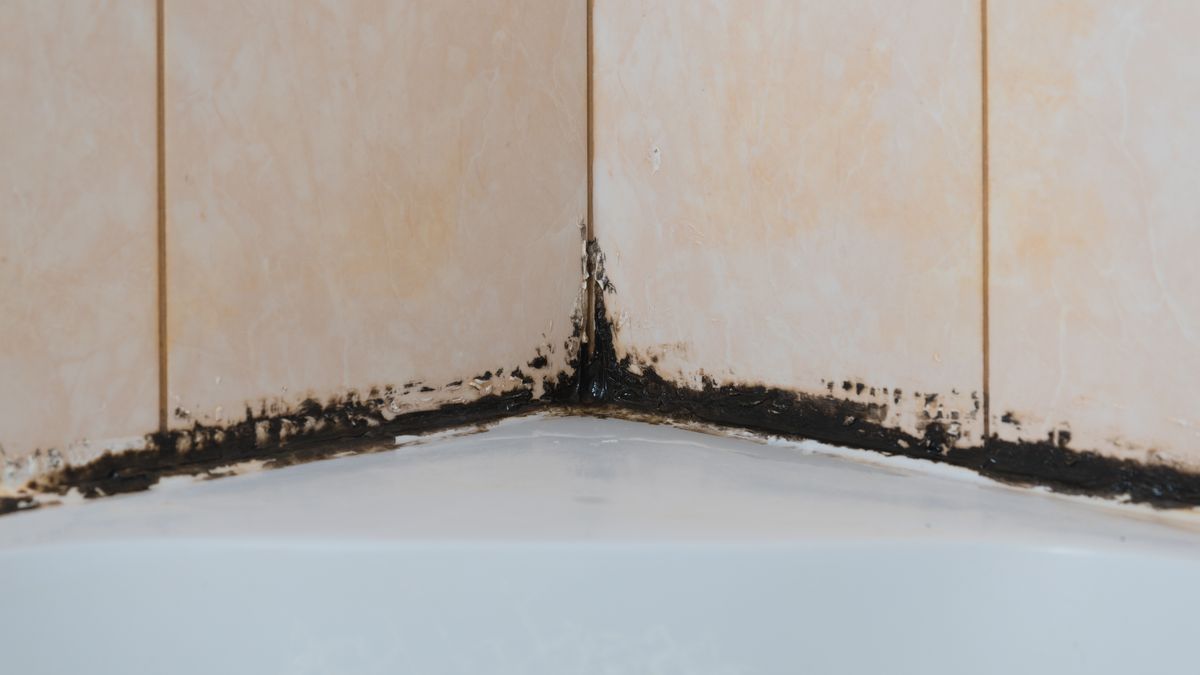 Jak pozbyć się pleśni z łazienki?