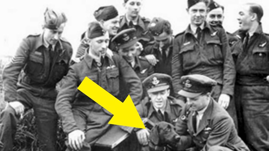 Nigger z pilotami 106. eskadry RAF. Guy Gibson kuca po prawej z fajką w zębach