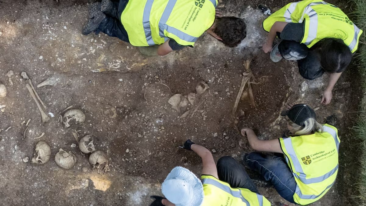 Studenci wykopali podczas prac badawczych dół 