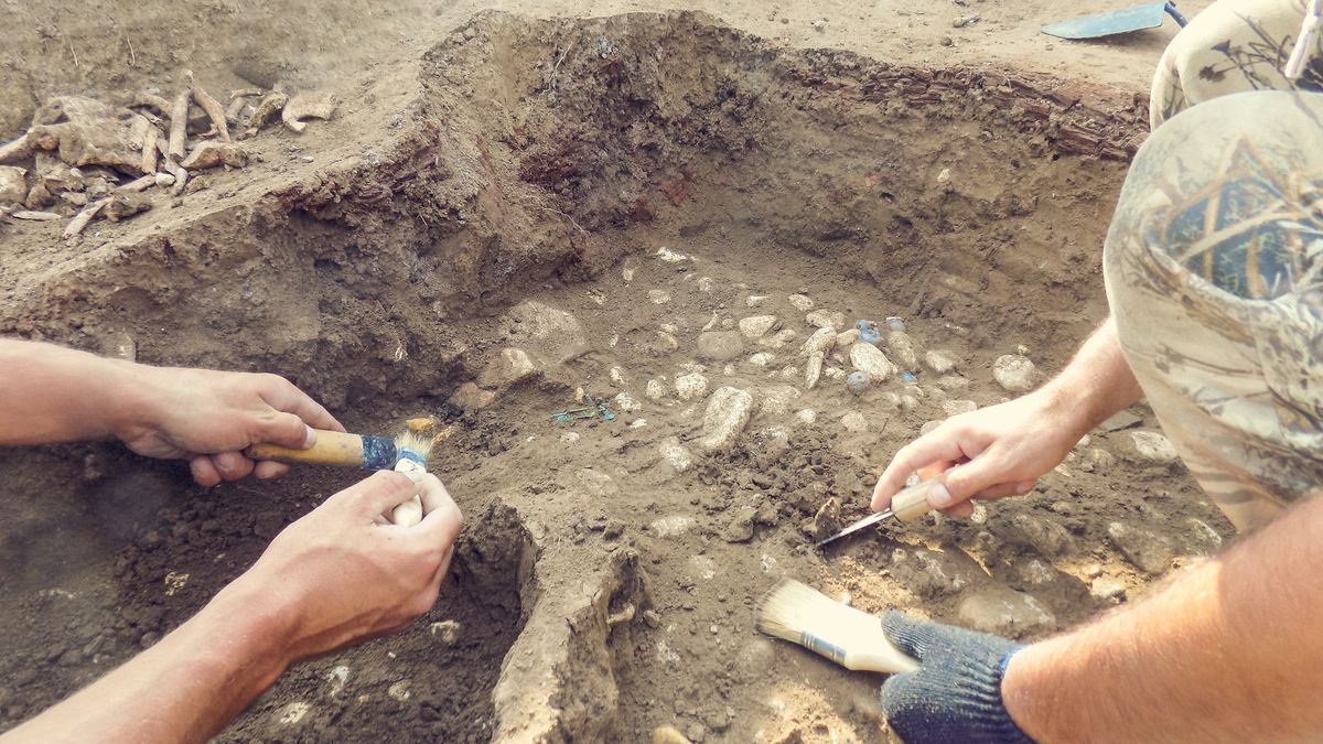 Odkrycia naukowców w Wolinie rzucają nowe światło na historię