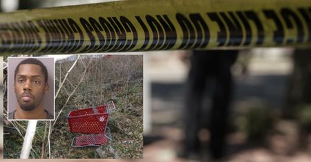 Horror w USA. Wabił kobiety i mordował. Wywoził sklepowym wózkiem