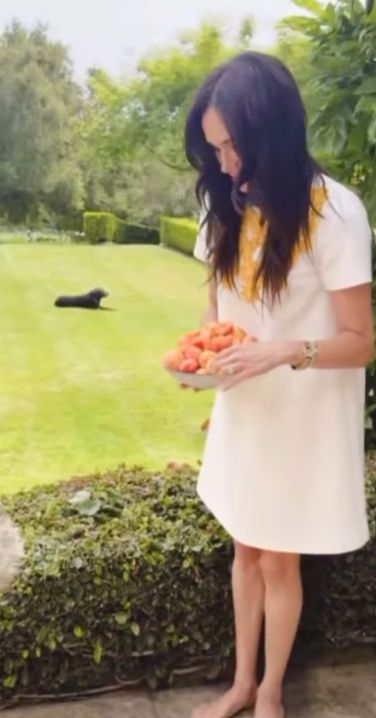 Meghan Markle w ogniu krytyki