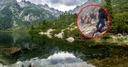 Pokazali nagranie z Tatr. "Szacun. Takich ludzi w górach nam trzeba"