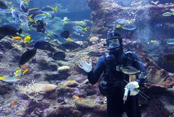Niezwykła noc w Orientarium ZOO Łódź. Tym razem tylko dla dorosłych