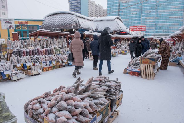 Ryby na targu w Jakucku nie potrzebują lodówek