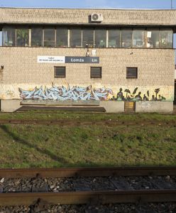 Kolej zniknęła stamtąd w 1993 r. Wiemy, kiedy wrócą regularne kursy