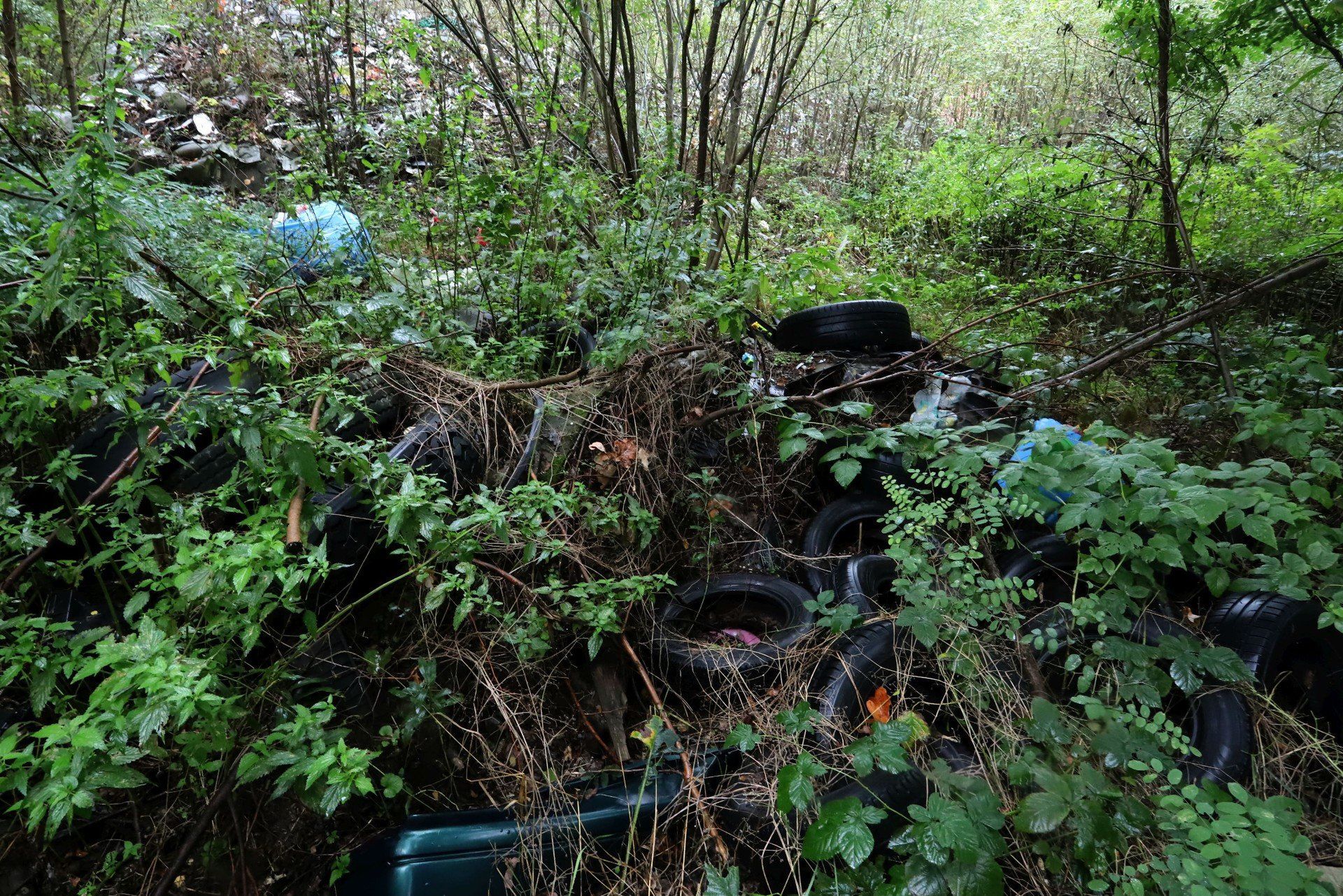Na terenach po byłym Pronicie można spotkać niszczejące obiekty i instalacje, które czekają na nowego inwestora.
