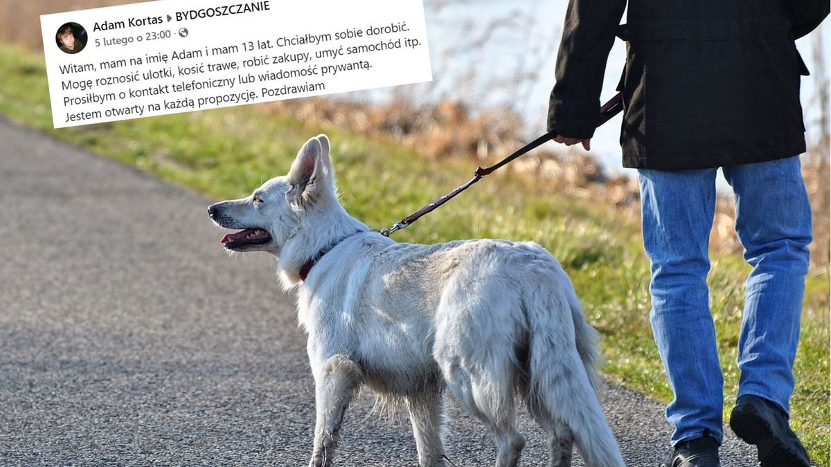 Nastolatek chciałby zarobić na wymarzony aparat. Chętnie za pieniądze wyprowadzi na spacer psy