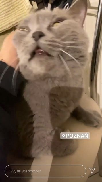 Jessica Mercedes relaksuje się w rodzinnym Poznaniu