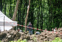 "Zaognić stosunki". Wołyń miał ponownie poróżnić Polskę i Ukrainę