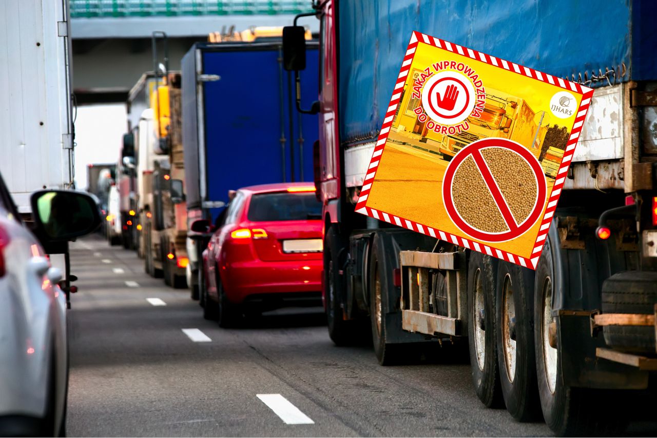 Żywe szkodniki w przyprawie z Ukrainy. Szybka reakcja służb