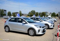 Szczecin. Szef WORD z zatrzymanym prawem jazdy. Miał 0,28 promila alkoholu we krwi