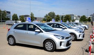 Szczecin. Szef WORD z zatrzymanym prawem jazdy. Miał 0,28 promila alkoholu we krwi