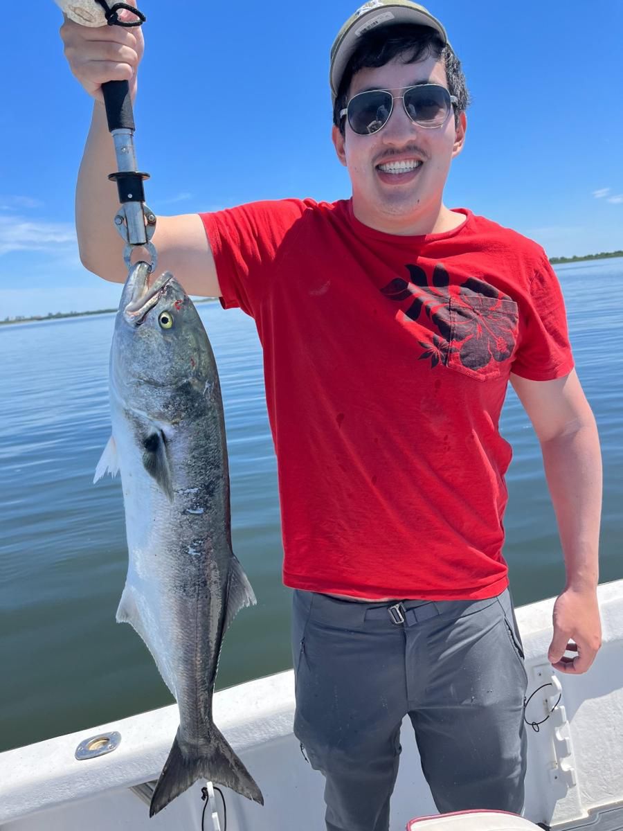 Dziennikarz był w szoku, gdy zobaczył, gdzie umiejscowił się kleszcz