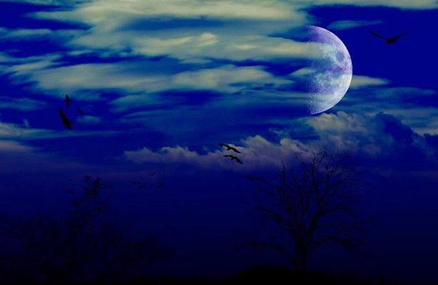 W sobotę zobaczymy Superksiężyc (fot.: sxc.hu)