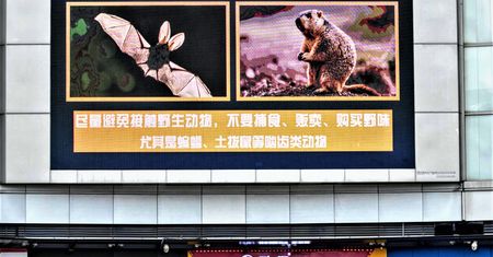 Koronawirus. Jego źródło to mokry targ w Wuhan? Są inne tropy