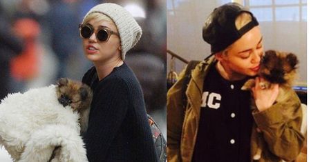 Miley ODDAŁA nowego szczeniaka!