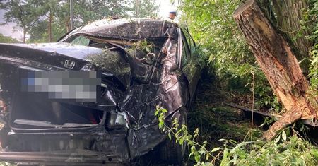 Honda rozbiła się na drzewie. Autem jechały cztery młode osoby