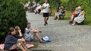 Łódź: Kleszcze atakują. Gdzie jest ich najwięcej?