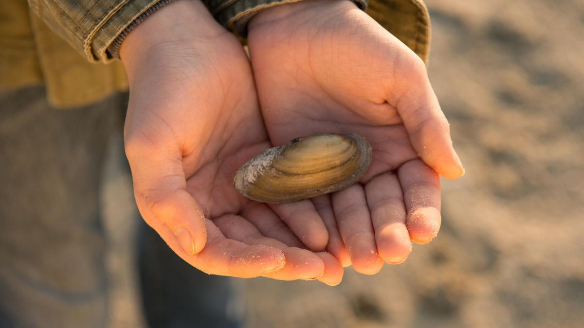Brachydaktylia to wrodzona wada kości, która może być dziedziczona.