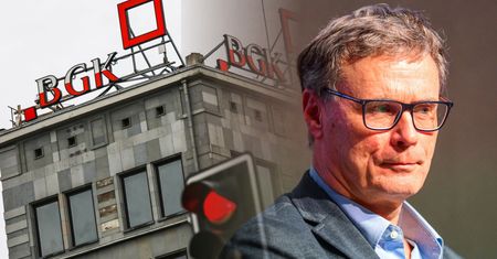 Ile można oszczędzić na SAFE? Scenariuszy jest kilka [OPINIA]
