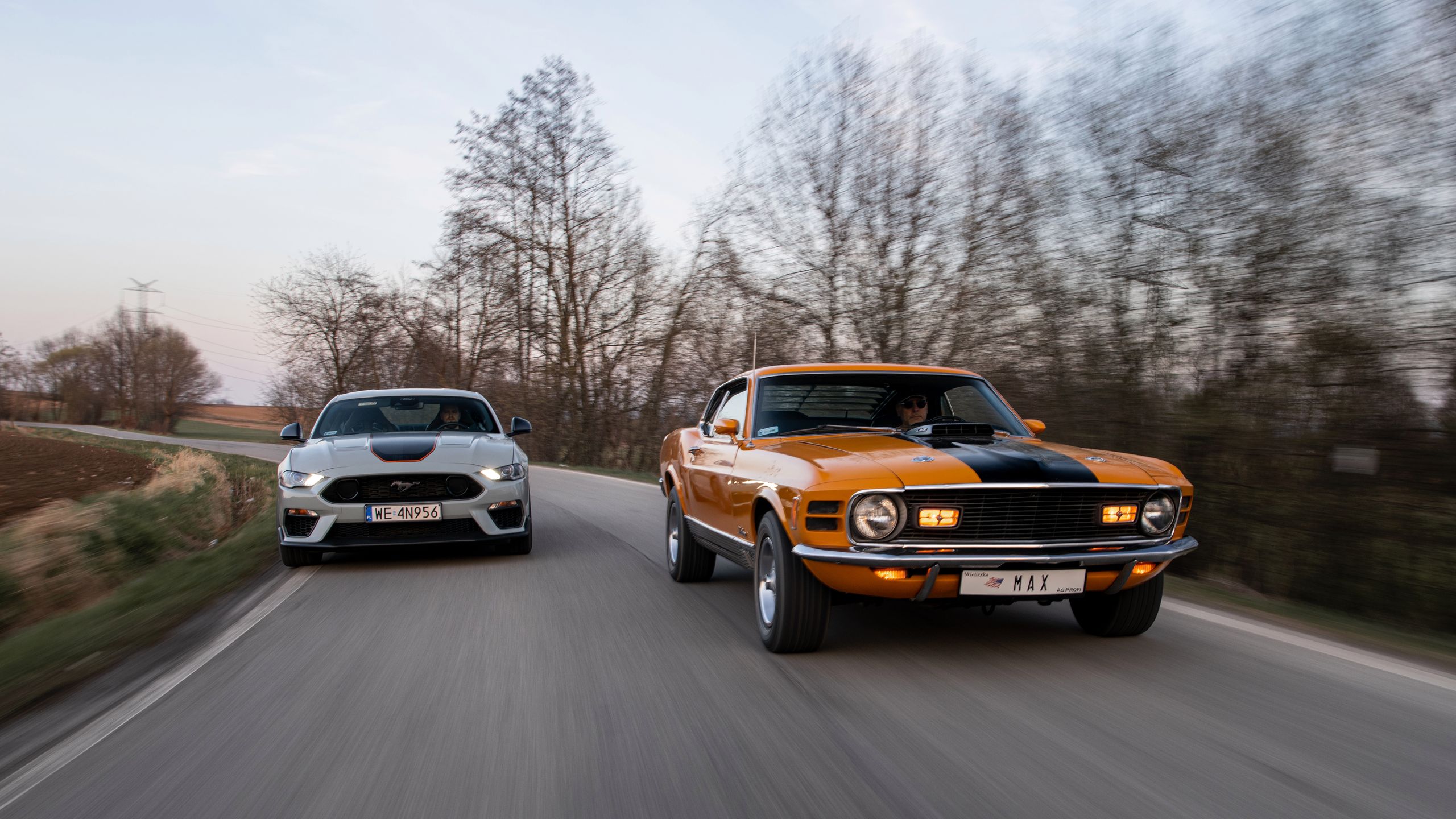 Ford Mustang Mach 1 vs. Mustang Mach 1 428 Cobra Jet
