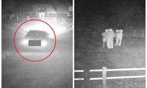 Szokujące sceny na parkingu za 100 tys. zł. Kamery wszystko nagrały. Brakuje słów