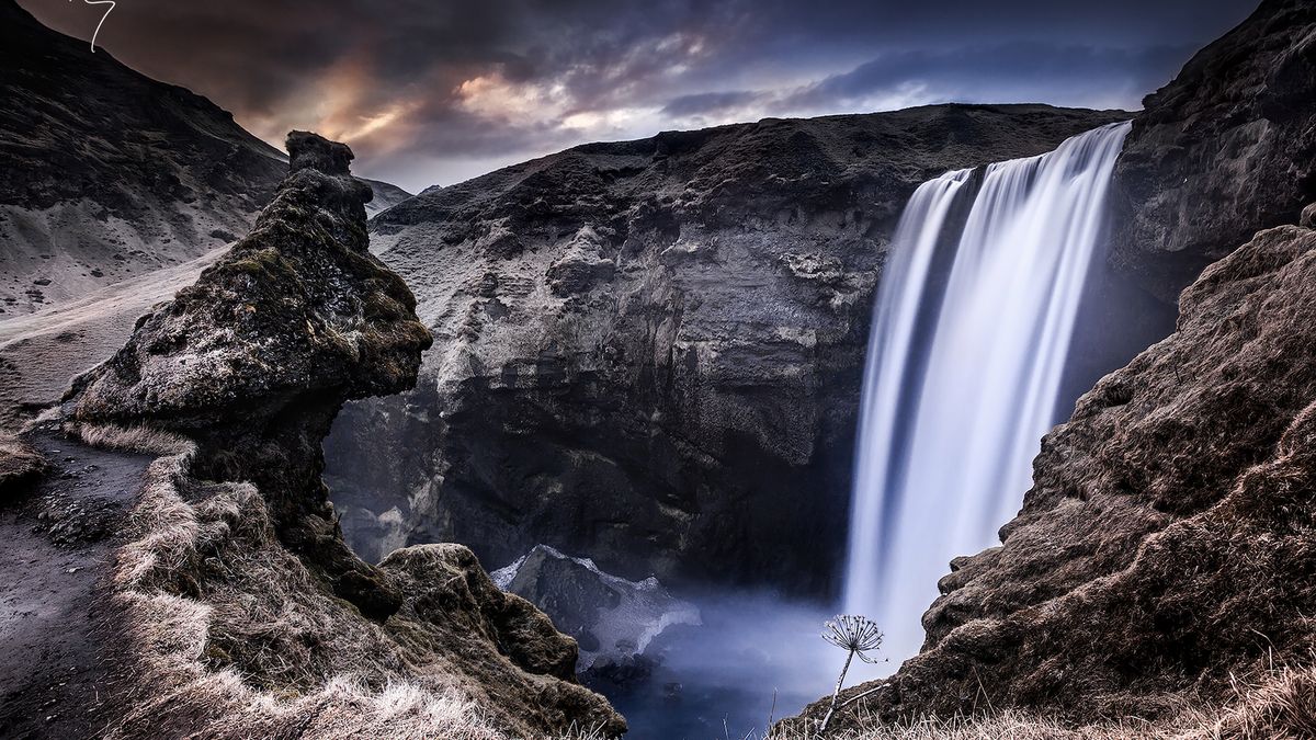 Dzikie krajobrazy K. R. Whitley'a z zamiłowaniem do sztuki 1