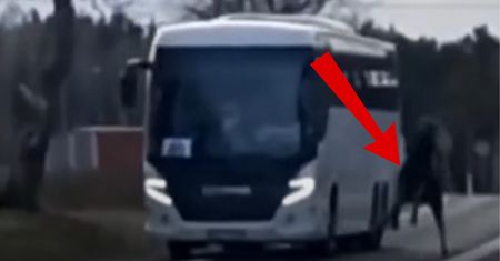 Koszmarny wypadek. Wbiegł w bok jadącego autobusu. W sieci zawrzało