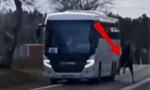 Koszmarny wypadek. Wbiegł w bok jadącego autobusu