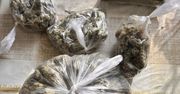 Radom: Nietypowe schowki nie pomogły. Areszt dla podejrzanych o posiadanie 5 kg narkotyków