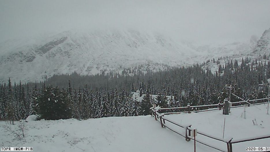 Hala Gąsienicowa - widok na Granaty