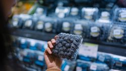 Spróbuj codziennie jeść jagody. Lekarka wyjaśnia, co się stanie