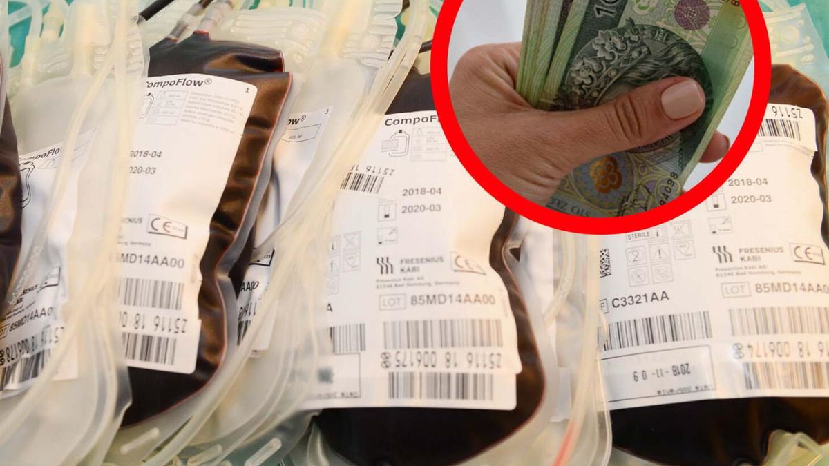 Rekompensata dla dawców rzadkich grup krwi. Tyle można dostać z litr