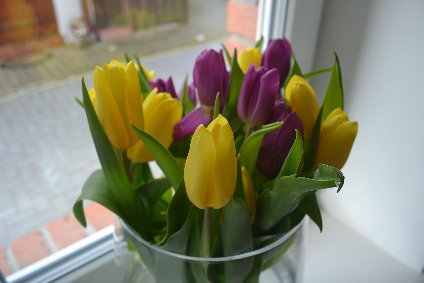 Jak przedłużyć świeżość tulipanów? Ten trik naprawdę działa