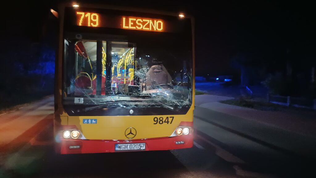 Leszno: Zderzenie autobusu miejskiego i auta z jeleniem. Zwierzę zginęło na miejscu