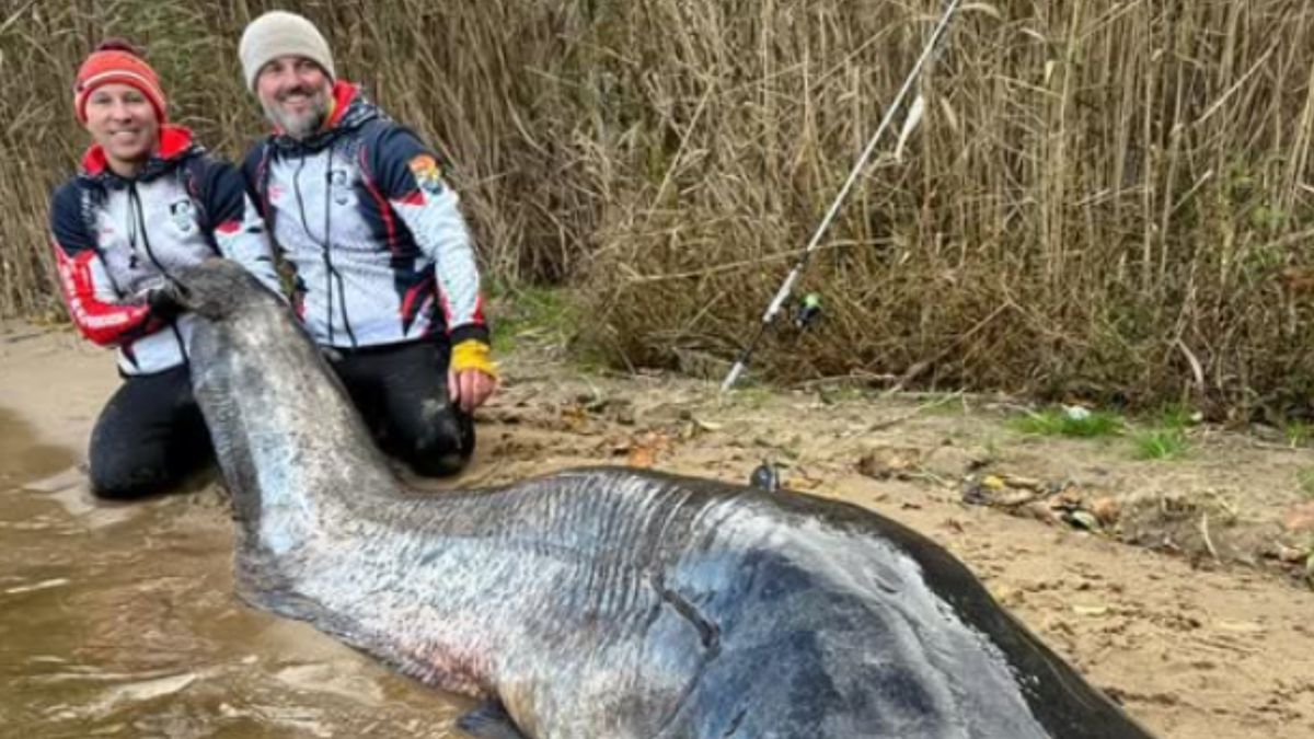 Polacy pobili rekord świata. Pokazali swoją zdobycz