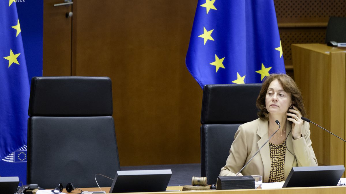 BRUSSELS, BELGIUM - OCTOBER 20 : German Member of the European Parliament (Sozialdemokratische Partei Deutschlands), and vice-president Katarina Barley attends a session of the European Parliament on October 20, 2020 in Brussels, Belgium. The EP is the parliamentary body of the European Union (EU) elected by direct universal suffrage. Due to the COVID-19 Pandemic, the session is mainly virtual. (Photo by Thierry Monasse/Getty Images)