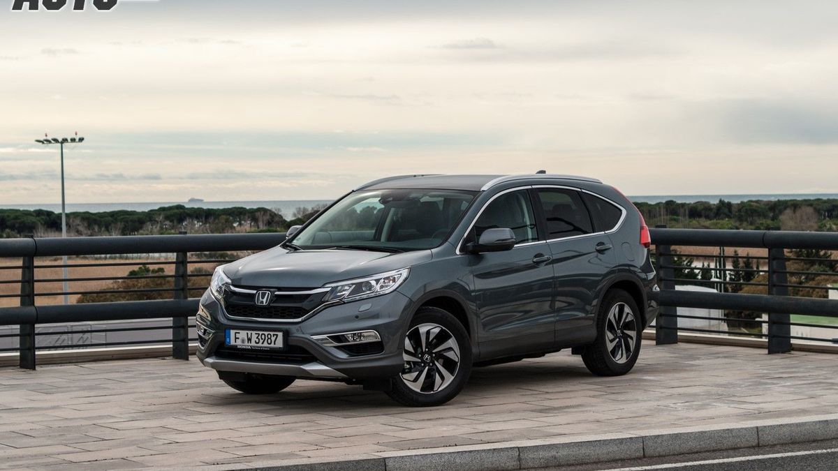 Zdjęcie ilustracyjne do artykułu