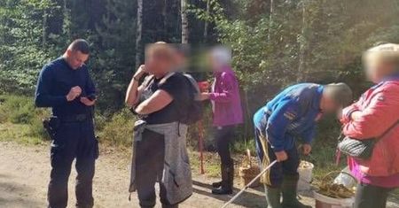Grupą poszli na grzyby. Takiego finału się nie spodziewali