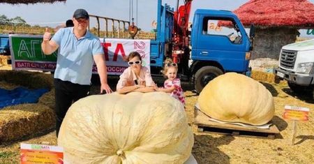 Zdjęcie z Rosji. Wyhodował ją w swoim ogrodzie