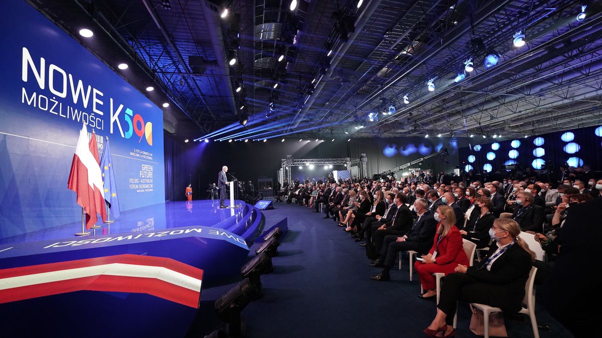 Kongres 590 - 6 edycja. 