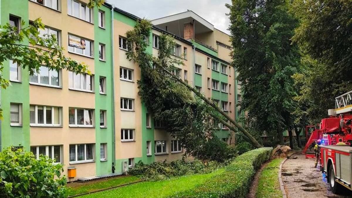 Drzewo oparło się o blok przy ul. Krzemienieckiej