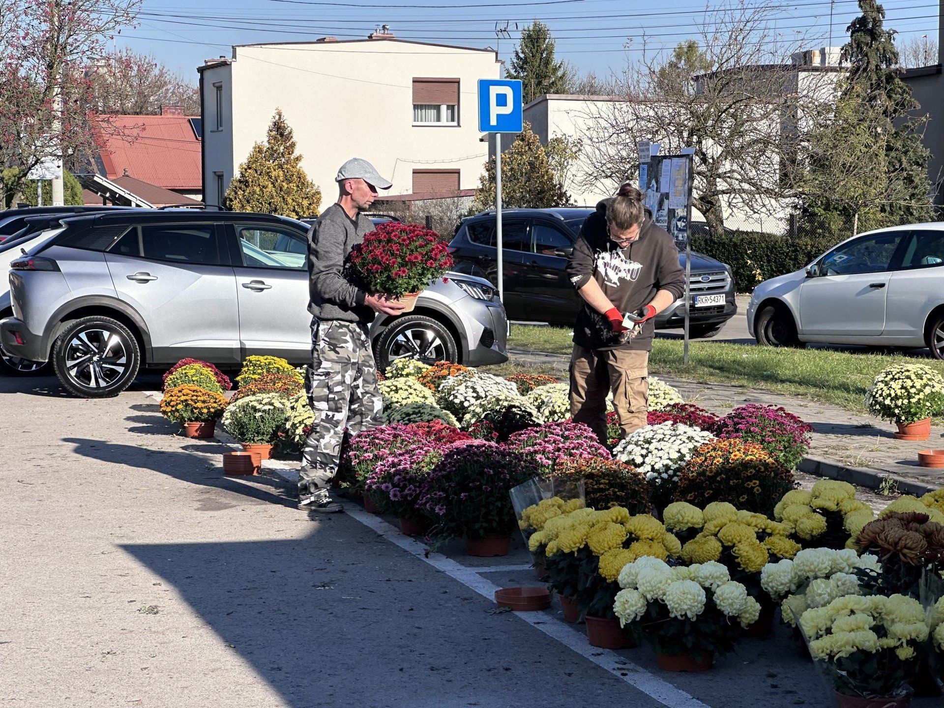 Przy cmentarzu można było kupić piękne chryzantemy 